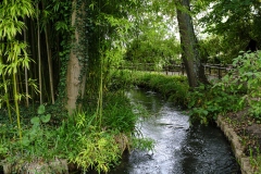 Stream, Monet's Garden France